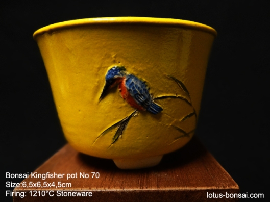 bonsai-kingfisher-pot-70b